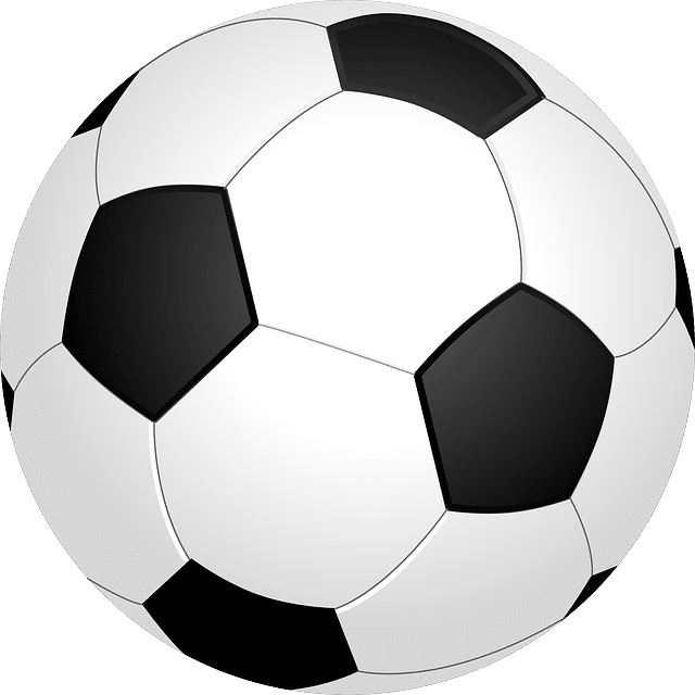 Digital Image of Black and White Soccer Ball